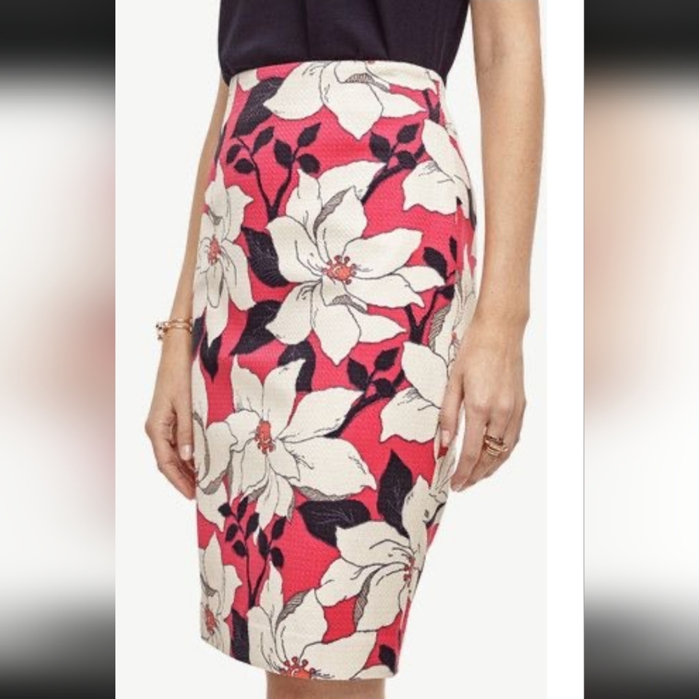 Ann Taylor Loft Floral Pink Blue and Cream‎ Skirt 00P
